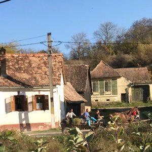 part cat, part toaster